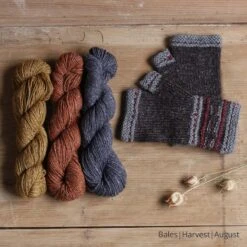 Bruite Mitt Yarn Kit(Bruite Mitt Yarn Kits) 17 Bruite Mitt Yarn Kit(Bruite Mitt Yarn Kits) -Stolen Yarn Store Bales harvest august c808289b dbe5 4327 9ae1 913565755302