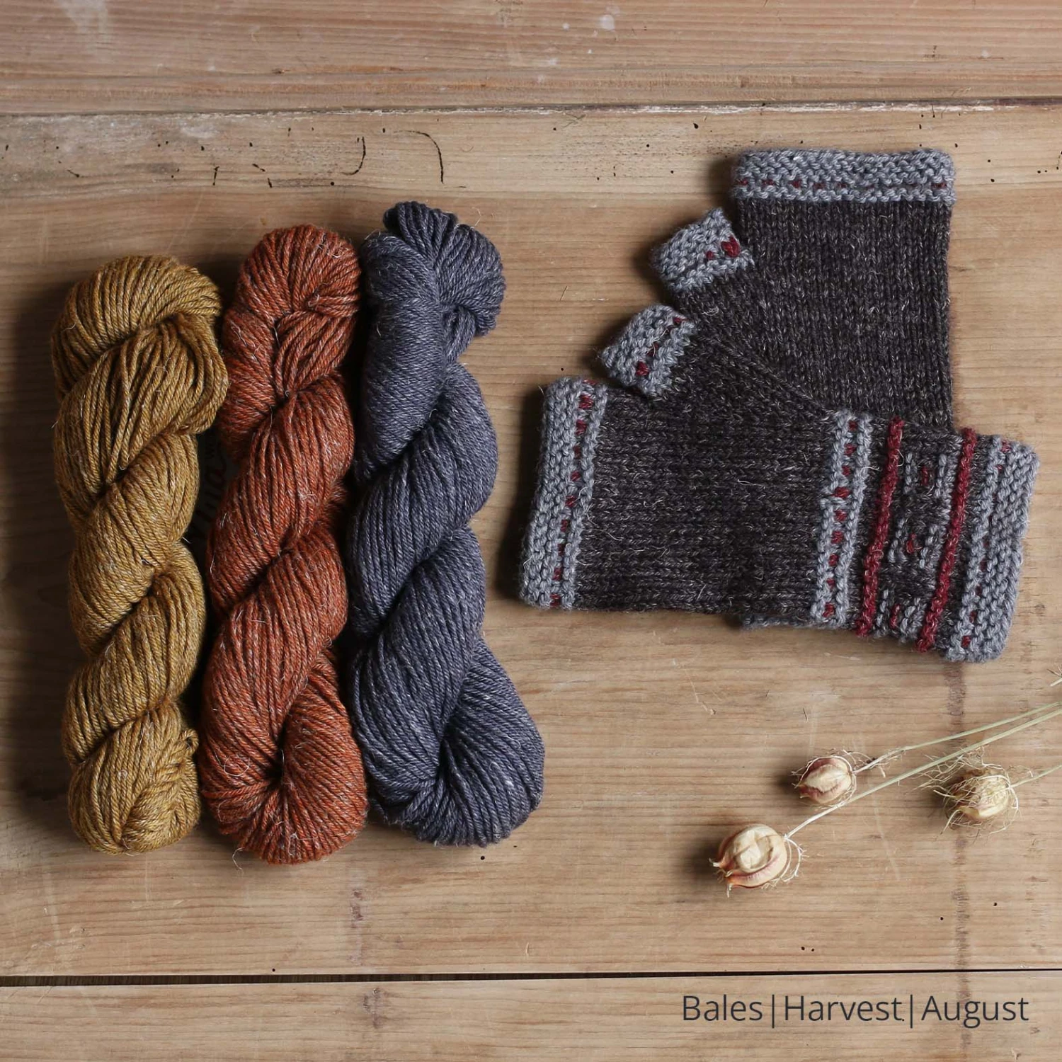 Bruite Mitt Yarn Kit(Bruite Mitt Yarn Kits) 9 Bruite Mitt Yarn Kit(Bruite Mitt Yarn Kits) - Image 7