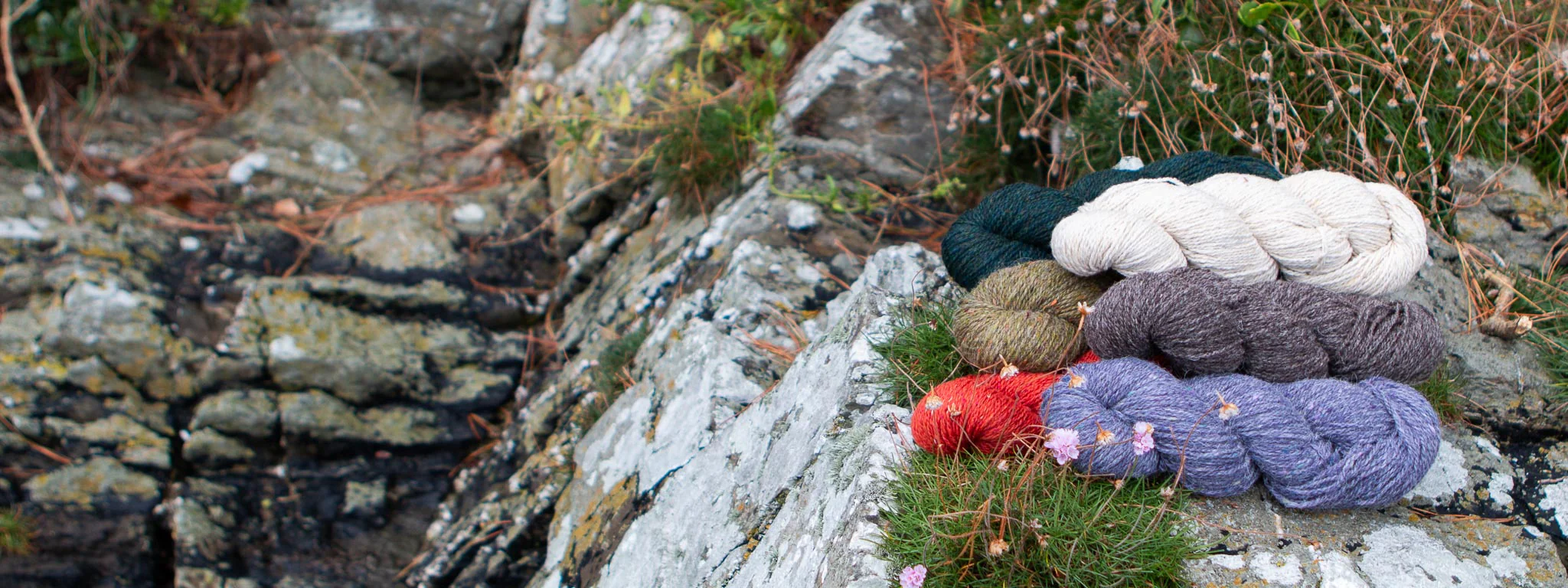 Stolen Yarn Store -Stolen Yarn Store CKC 26 Honepage web