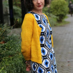 Citrus Dream Cardigan Pattern(Citrus Dream) -Stolen Yarn Store IMG 1470