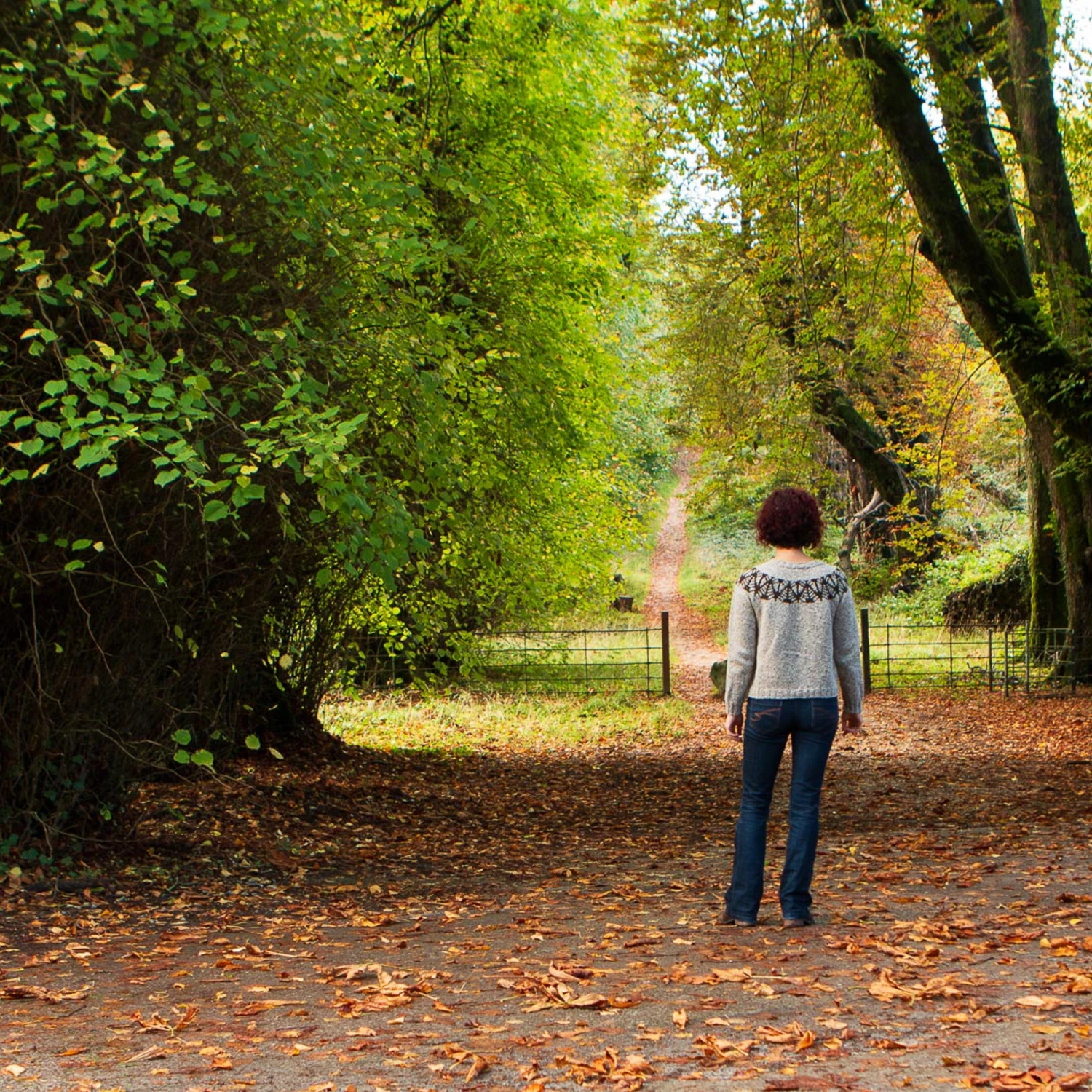 Yew Mor Sweater Pattern(Yew Mor Sweater Pattern) 4 Yew Mor Sweater Pattern(Yew Mor Sweater Pattern) - Image 2