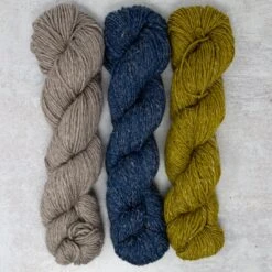 Clypea Nua Yarn Kit(Clypea Nua Yarn Kit) 9 Clypea Nua Yarn Kit(Clypea Nua Yarn Kit) -Stolen Yarn Store IMG 3669