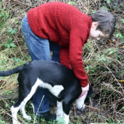 Aeschne Child Sweater Pattern(Aeschne) 9 Aeschne Child Sweater Pattern(Aeschne) -Stolen Yarn Store IMG 3933