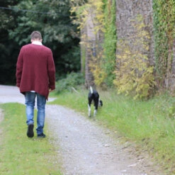 Novio Cardigan Pattern(Novio) -Stolen Yarn Store IMG 4212