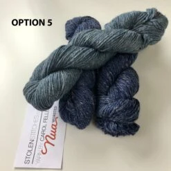 Caelius Yarn Kit(Caelius Yarn Kit) -Stolen Yarn Store IMG 4317