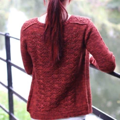 Capall Dubh Cardigan Pattern(Capall Dubh) -Stolen Yarn Store IMG 5419