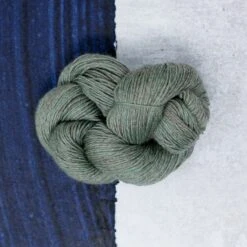 CoopKnits Socks Yeah!(Coopknits Socks Yeah) -Stolen Yarn Store IMG 5560