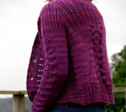 Trilo Cardigan Pattern(Trilo Cardigan Pattern) -Stolen Yarn Store IMG 6498copy