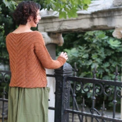 Rusty Lines Yarn Kit(Rusty Lines Yarn Kit) -Stolen Yarn Store IMG 6920