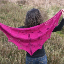Rose Song Shawl Pattern(Rose Song) -Stolen Yarn Store IMG 7748