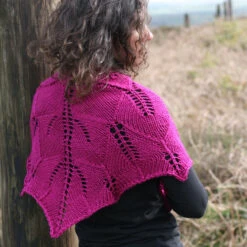 Rose Song Shawl Pattern(Rose Song)