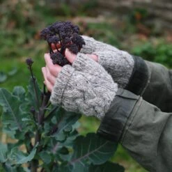 Inis Beg Hat And Mitts Yarn Kit(Inis Beg Hat And Mitts Yarn Kit) -Stolen Yarn Store IMG 9564 303891fb 196b 462f b478 158a6786da61