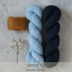 Campo Nights Yarn Kit(Campo Nights Yarn Kit) -Stolen Yarn Store Option10