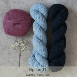Campo Nights Yarn Kit(Campo Nights Yarn Kit) -Stolen Yarn Store Option11