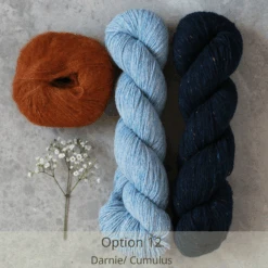 Campo Nights Yarn Kit(Campo Nights Yarn Kit) -Stolen Yarn Store Option12