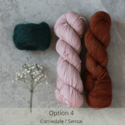 Campo Nights Yarn Kit(Campo Nights Yarn Kit) -Stolen Yarn Store Option4