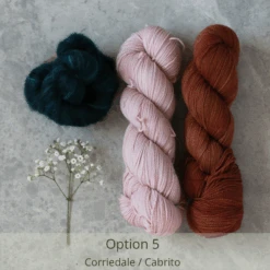 Campo Nights Yarn Kit(Campo Nights Yarn Kit) -Stolen Yarn Store Option5