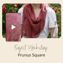 Project Workshop | Prunus Square(Project Workshop Prunus Square)