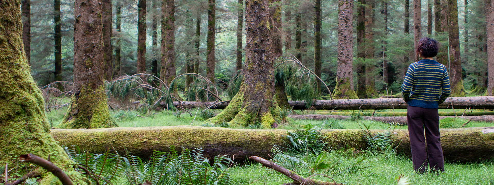 Stolen Yarn Store -Stolen Yarn Store Trio of Light desktop banner