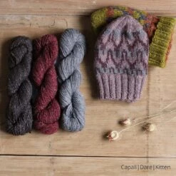 Wobble Wave Hat Yarn Kit(Wobble Wave Hat Yarn Kit) -Stolen Yarn Store capall dare kitten