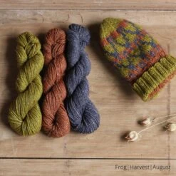 Wobble Wave Hat Yarn Kit(Wobble Wave Hat Yarn Kit) -Stolen Yarn Store frog harvest august