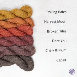 Meabh | Sweater Yarn Kit(Meabh Yarn Kit) -Stolen Yarn Store warms