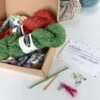 Crochet Starter Kit(Crochet Starter Kit) -Stolen Yarn Store zero to crochet